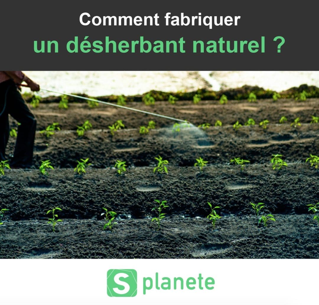 Comment fabriquer un désherbant naturel pour votre jardin
