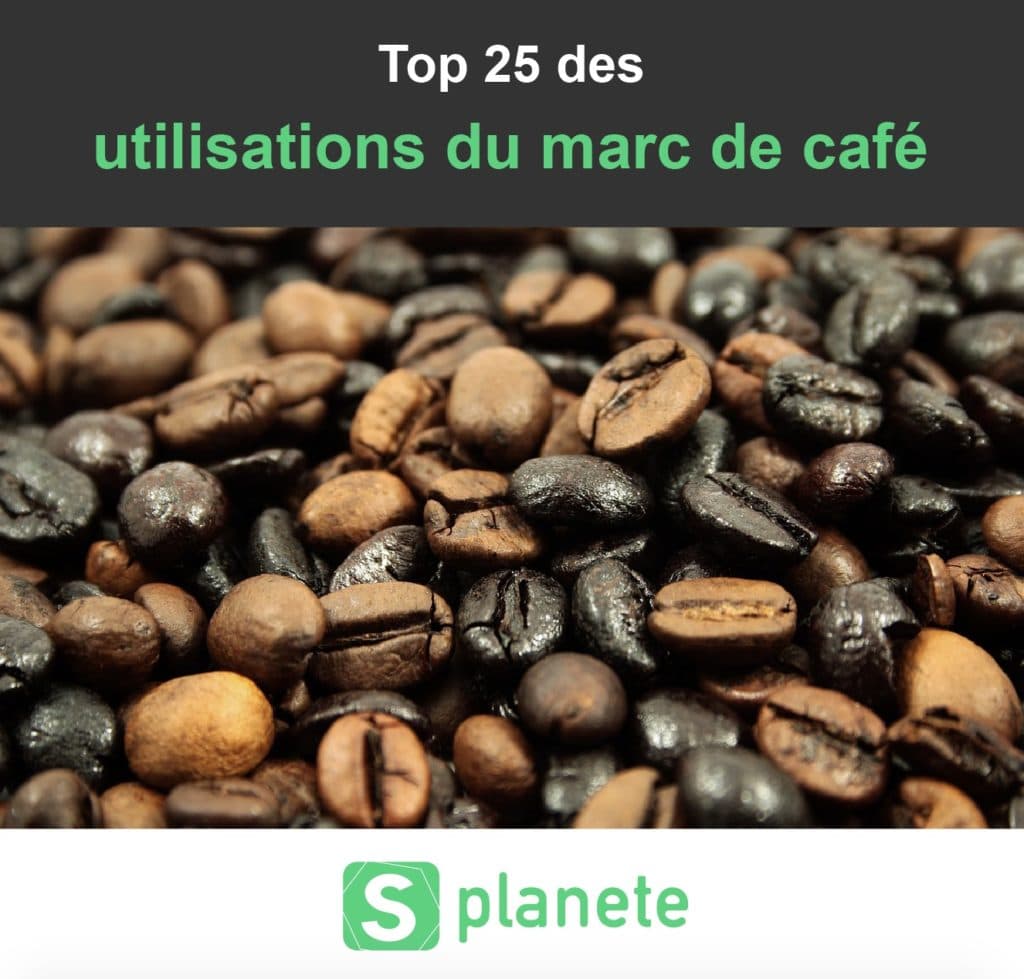 les utilisations du marc de café