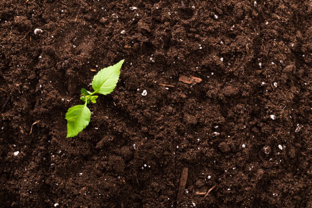 Faire du compost efficacement